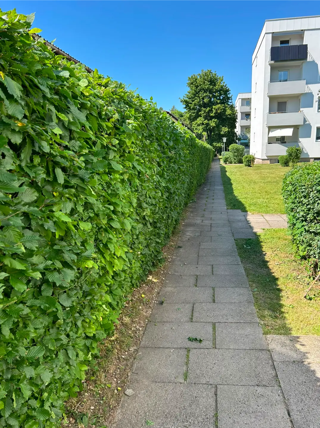 Referenz aus dem Bereich Garten- und Landschaftsbau