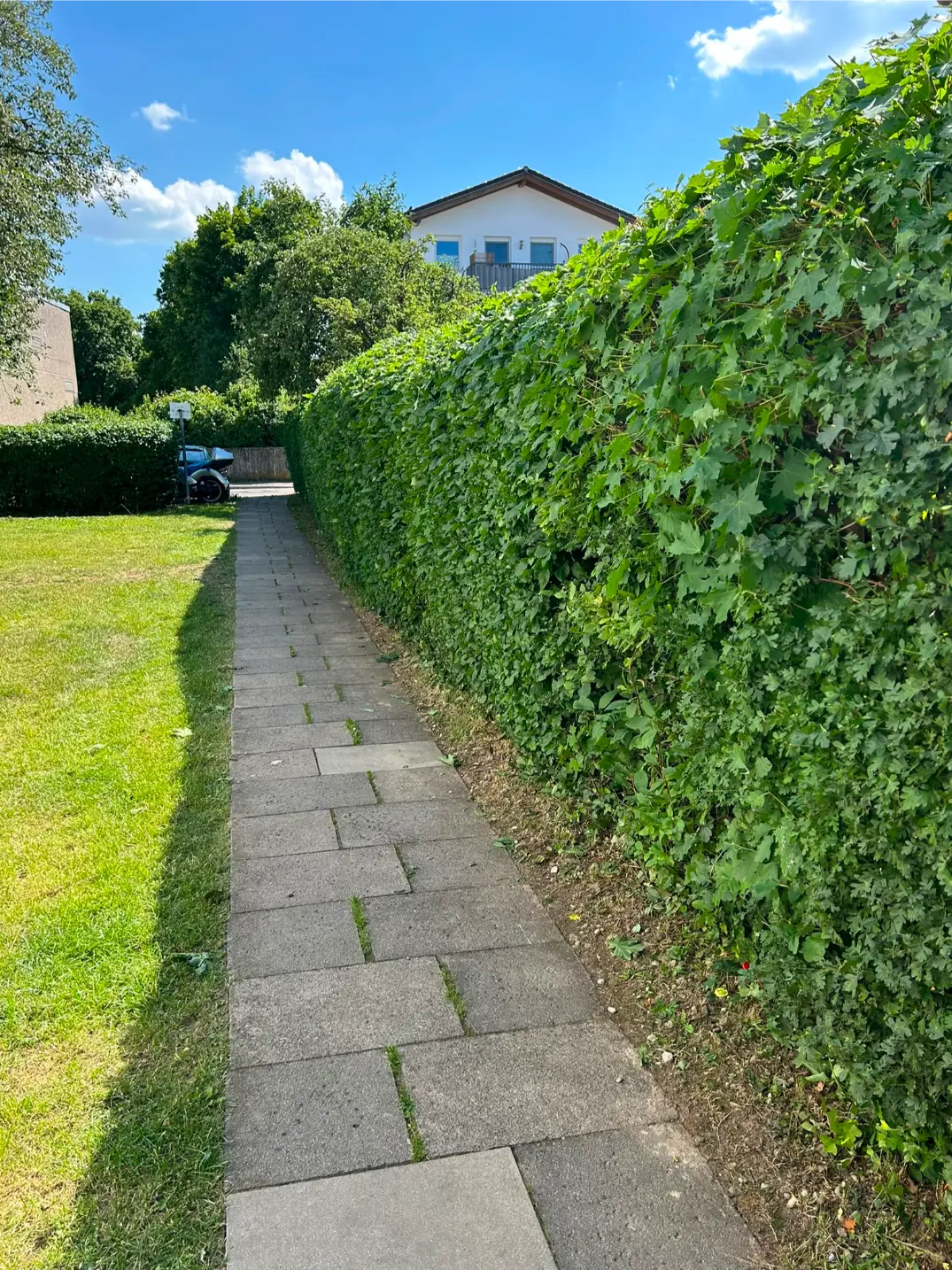 Referenz aus dem Bereich Garten- und Landschaftsbau
