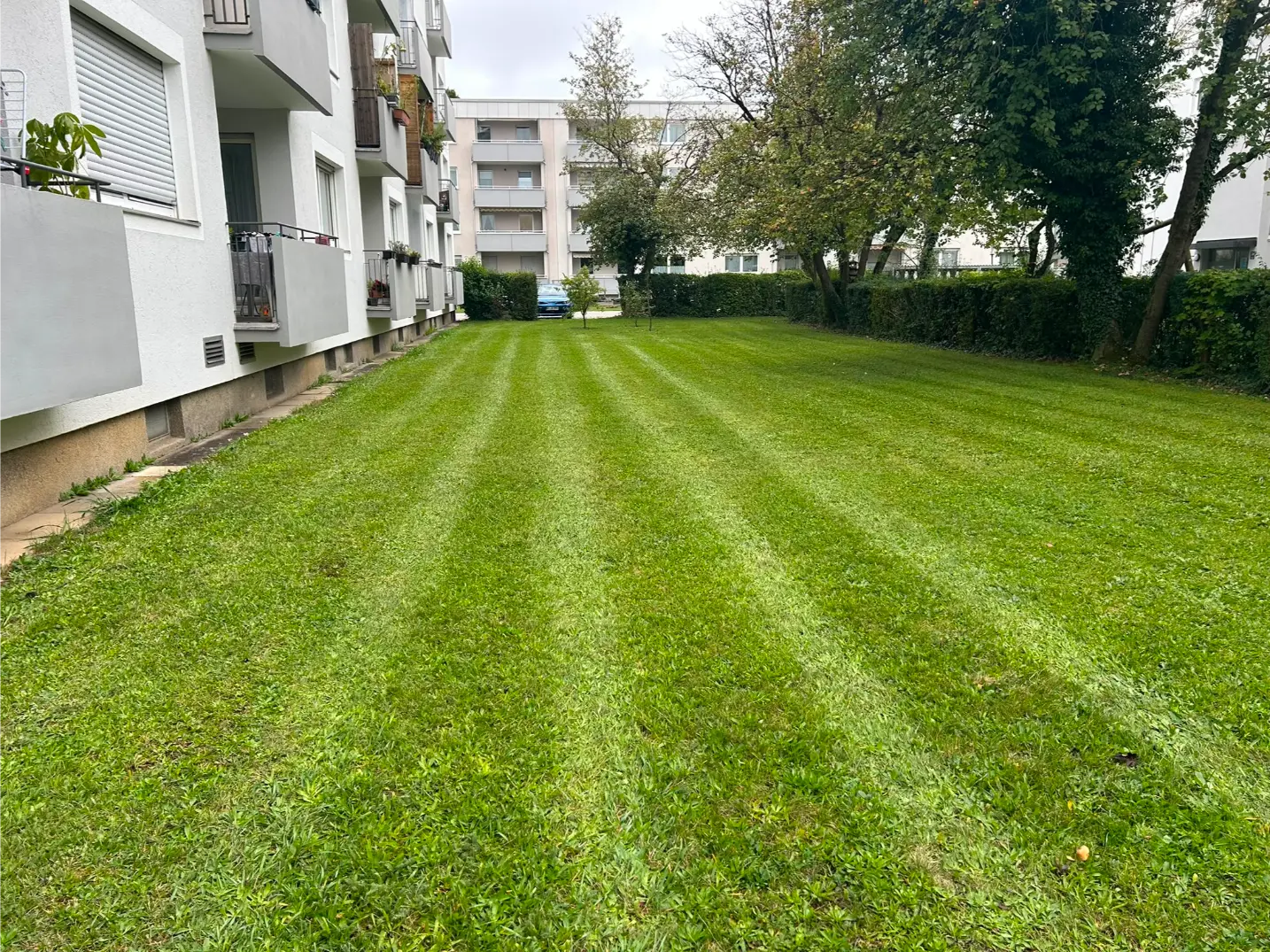 Professionell gepflegte Garten- und Außenanlage