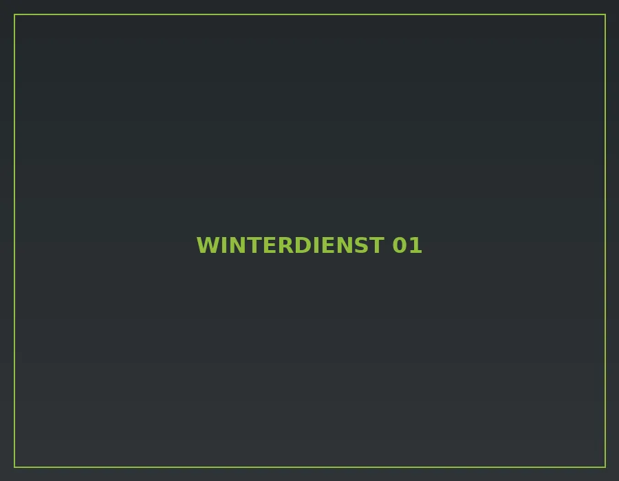 Referenz aus dem Bereich Winterdienst