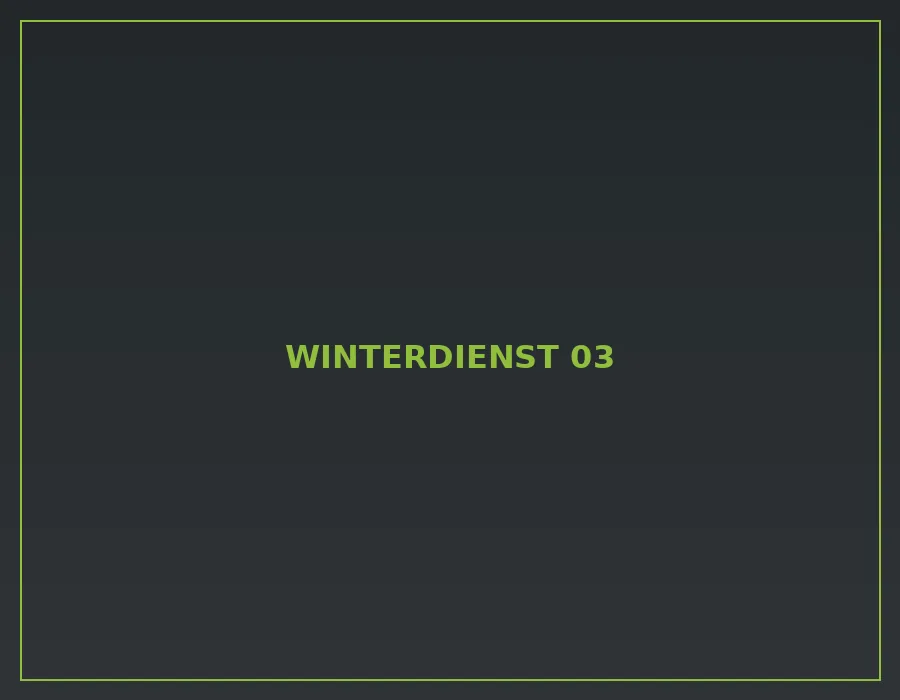 Referenz aus dem Bereich Winterdienst
